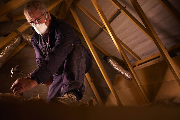 Best Insulation Inspection Services  in South Bend, WA